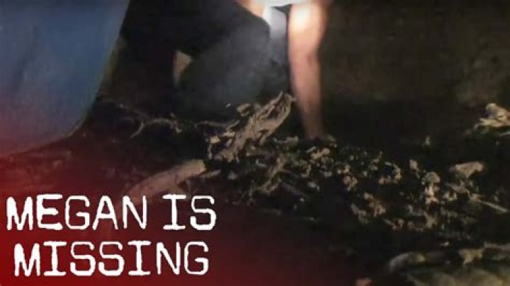 Megan Is Missing: An In-Depth Look At Photo 1 And 2