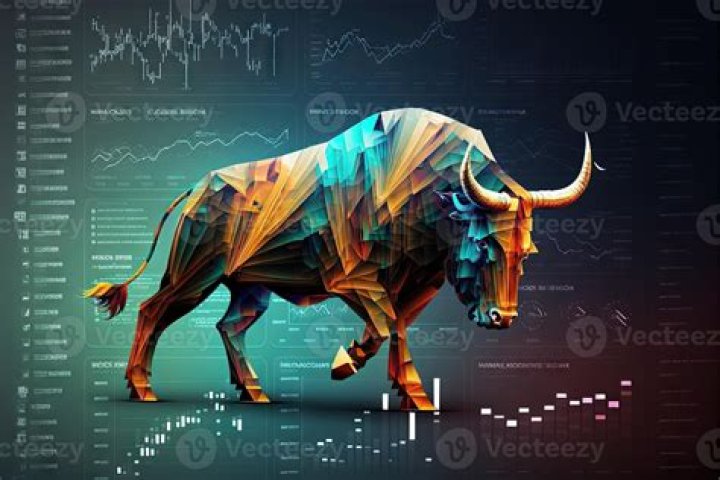 The Big Bull Hemant Shah: The Rise Of A Stock Market Maverick