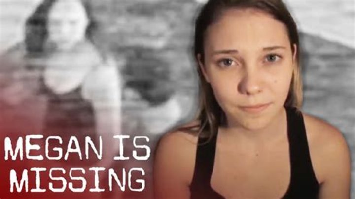 The Mystery Behind "The Megan Is Missing": A Deep Dive Into The Enigma