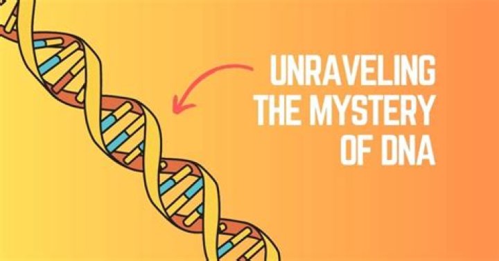 Unraveling The Mystery: Nancy Zabka Age