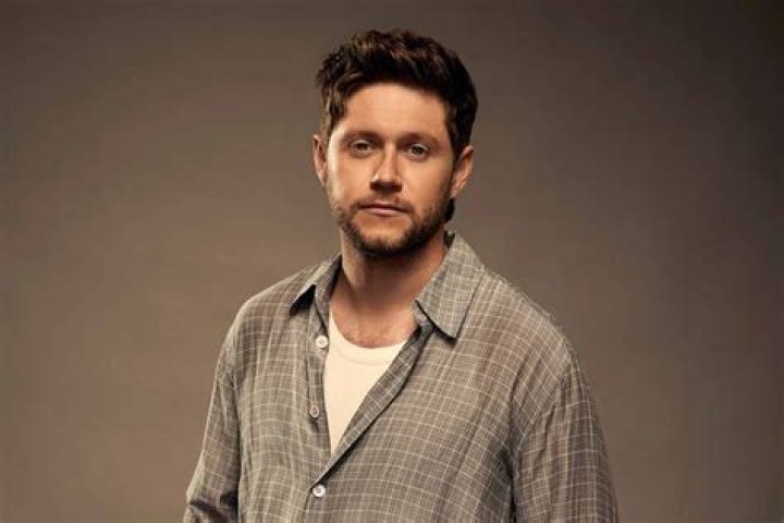 Where In Ireland Does Niall Horan Hail From?
